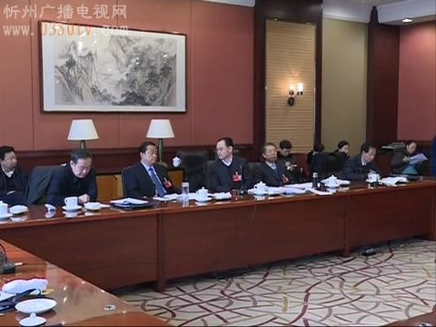 我市代表团分组审议省政府工作报告