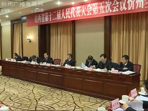 我市人大代表团审议省政府工作报告