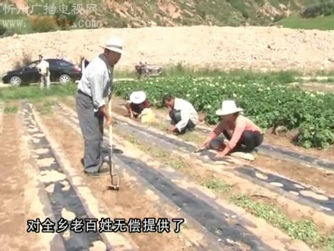 种植玛咖拓富路