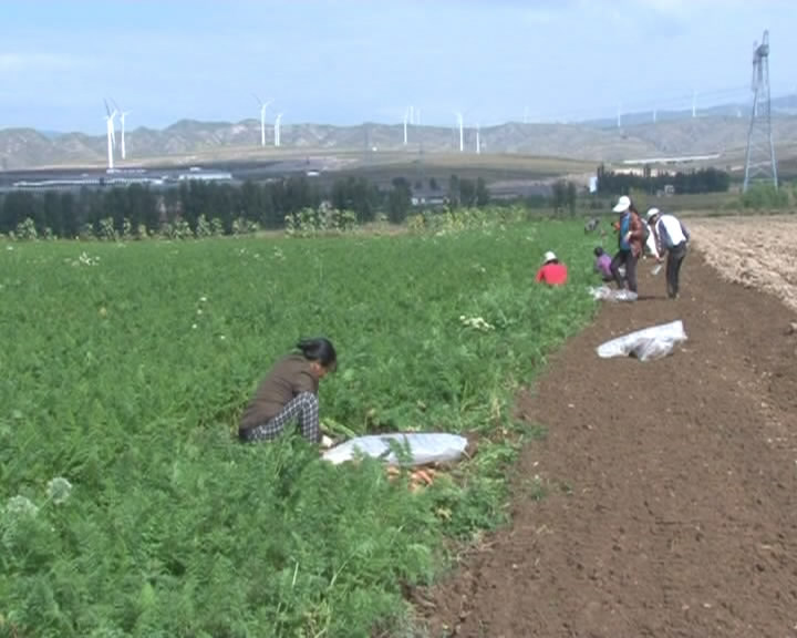 繁峙 推进农业机械化生产 助推农民脱贫增收