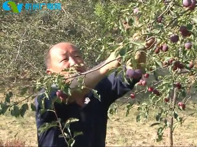 保德：立足优势补短板 找准路子促脱贫