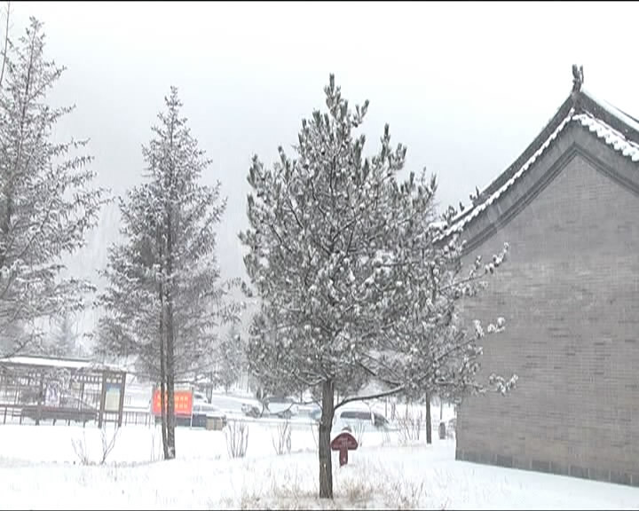 我市迎来今冬首场大范围降雪