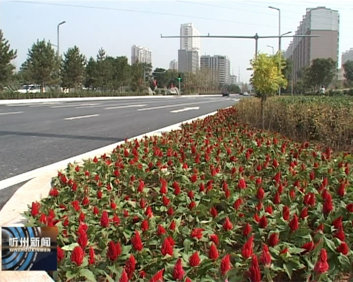 我市城市人居环境显著改善 宜居水平大幅提升​