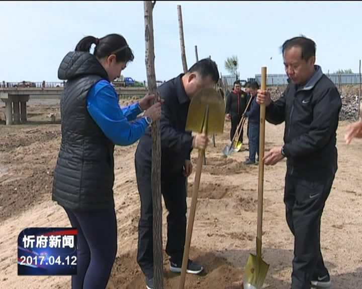 区长崔向松等领导和机关干部职工参加义务植树活动​