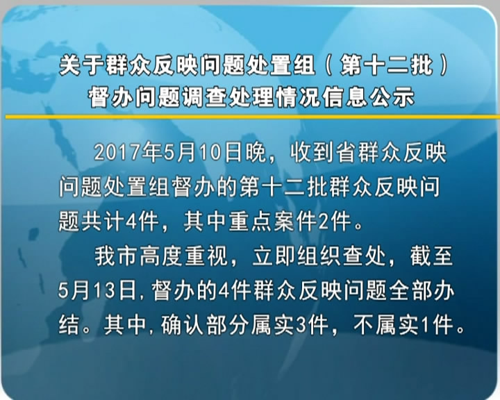 关于群众反映问题处置组(第十二批)督办问题调查处理情况信息公示​