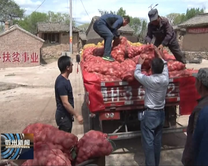 静乐：专管脱贫的“管”书记​