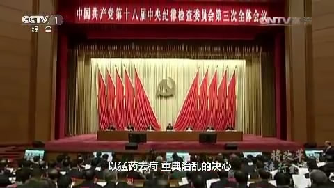 《将改革进行到底》 第九集 《党的自我革新》