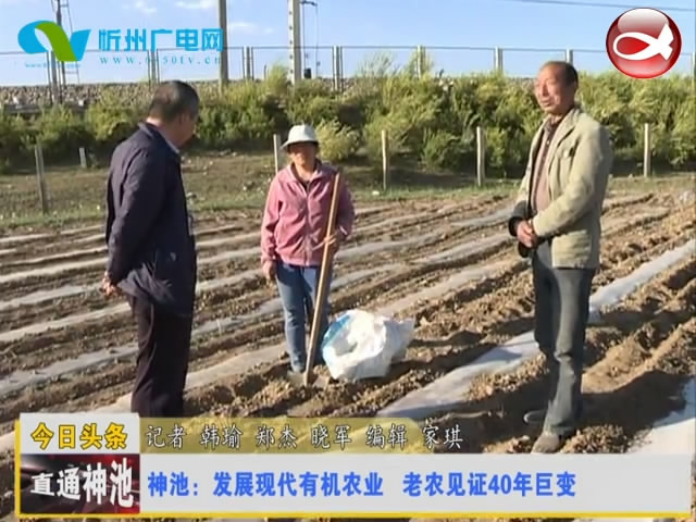 直通县市区——直通神池