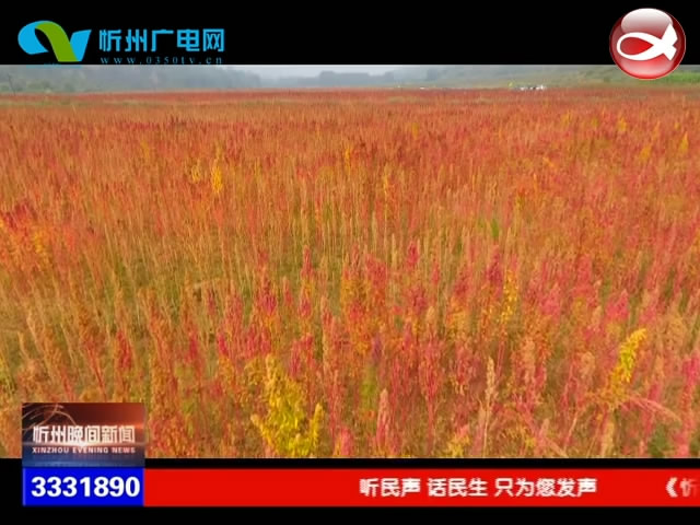 静乐县汾河秋景​