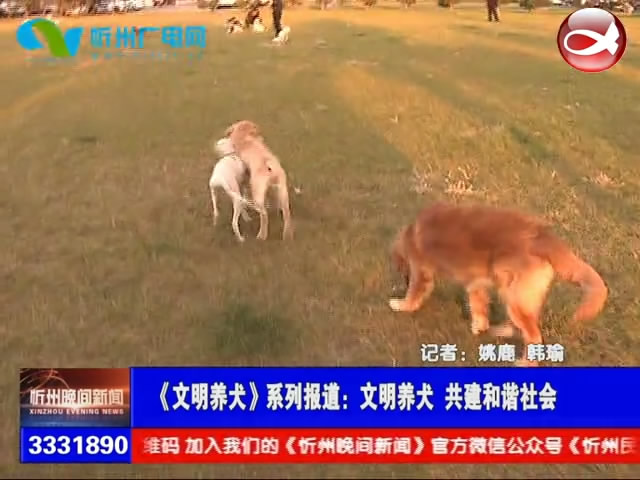 《文明养犬》系列报道：文明养犬 共建和谐社会​