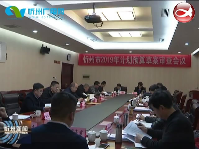 市人大召开2019年计划预算草案审查会议​