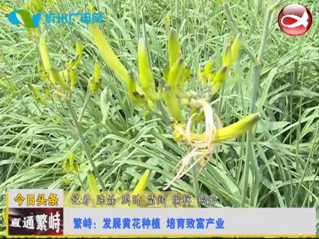 直通县市区——直通繁峙