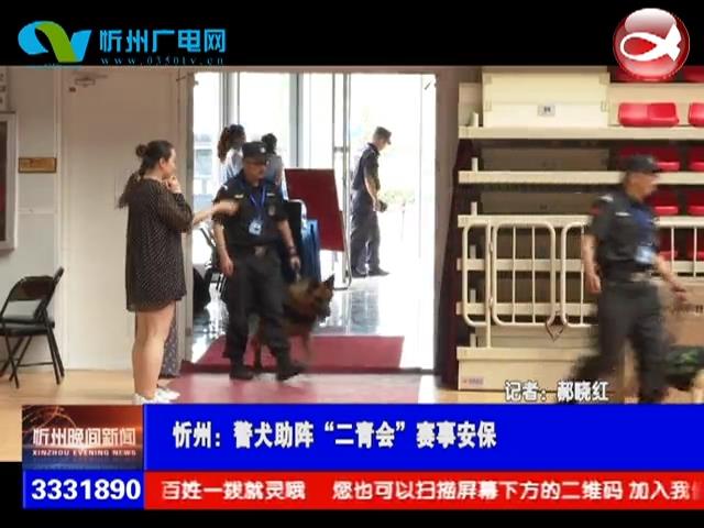 忻州：警犬助阵“二青会”赛事安保​