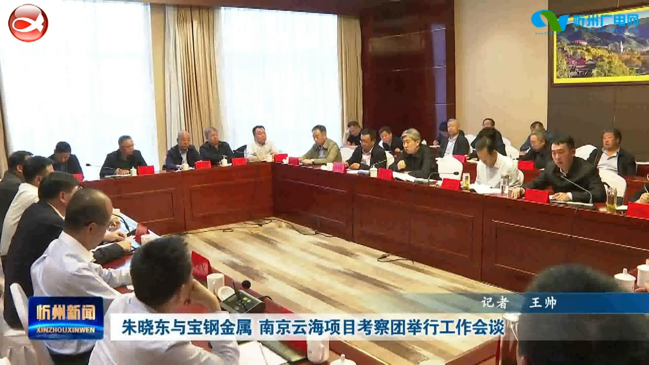 朱晓东与宝钢金属 南京云海项目考察团举行工作会谈​