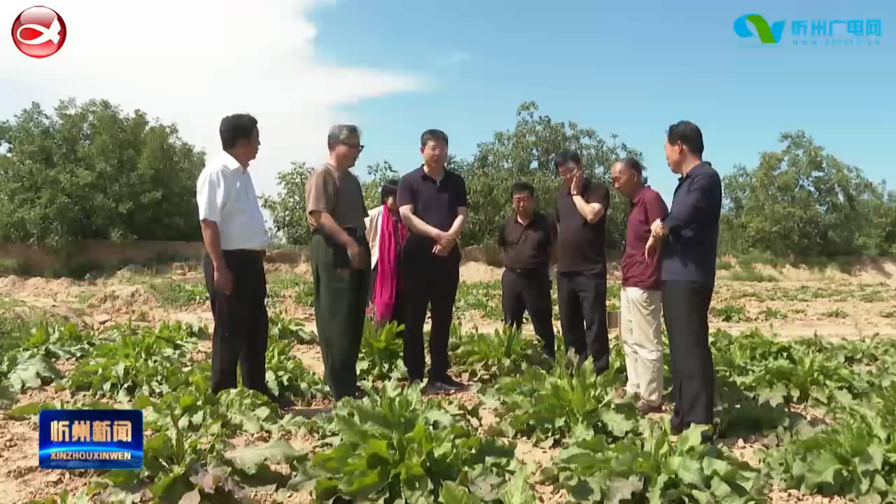 《奋斗百年路 启航新征程·学党史 悟思想 办实事 开新局》专栏报道：五台：“三队包联”进乡村 解决难题促增收​