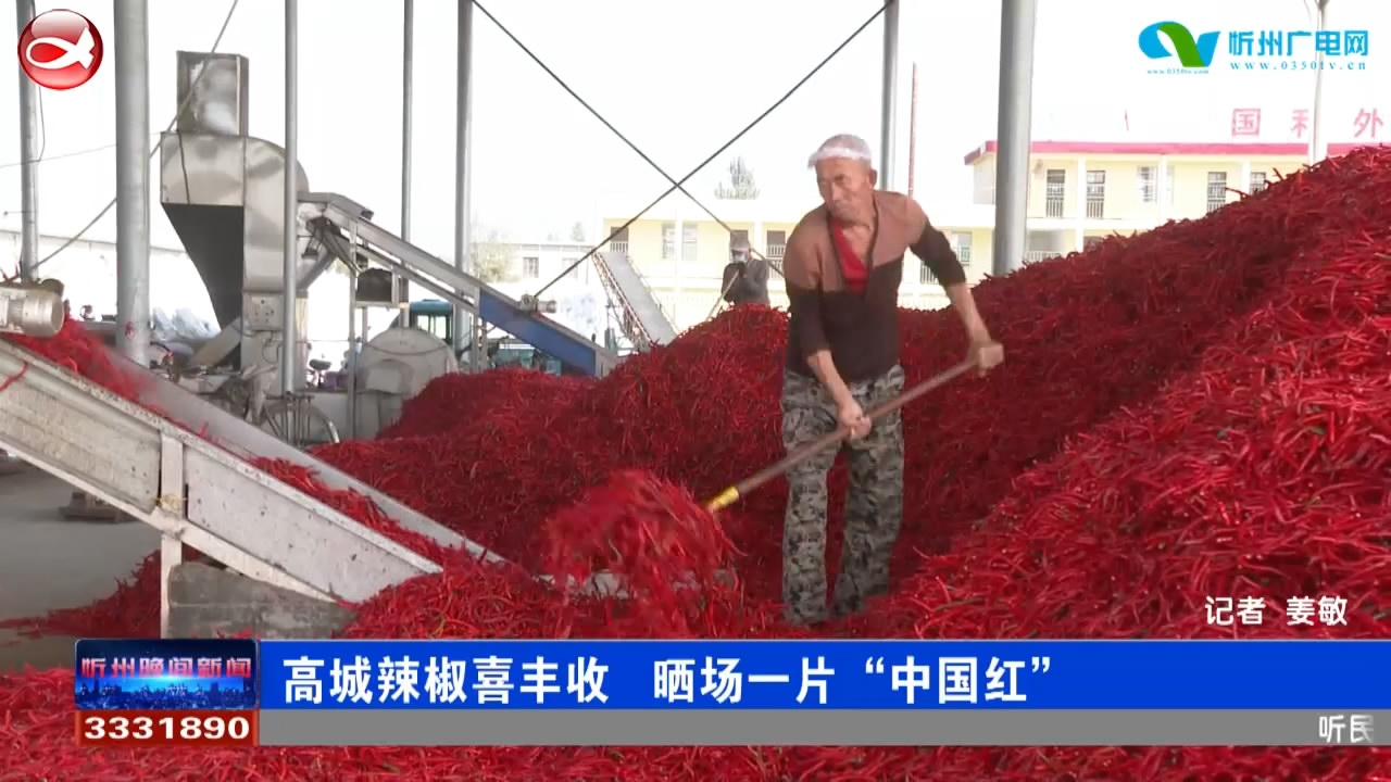 看！高城辣椒晒出一片“中国红”！​