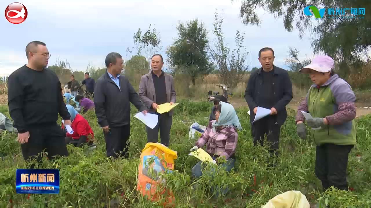 秋收遇上连阴雨 忻府区农技人员实地查看 现场支招​