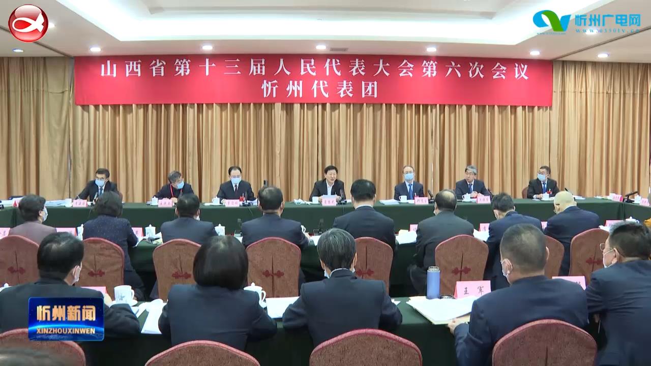 来自省两会的专栏报道：省十三届人大六次会议忻州市代表团举行全团会议审议政府工作报告