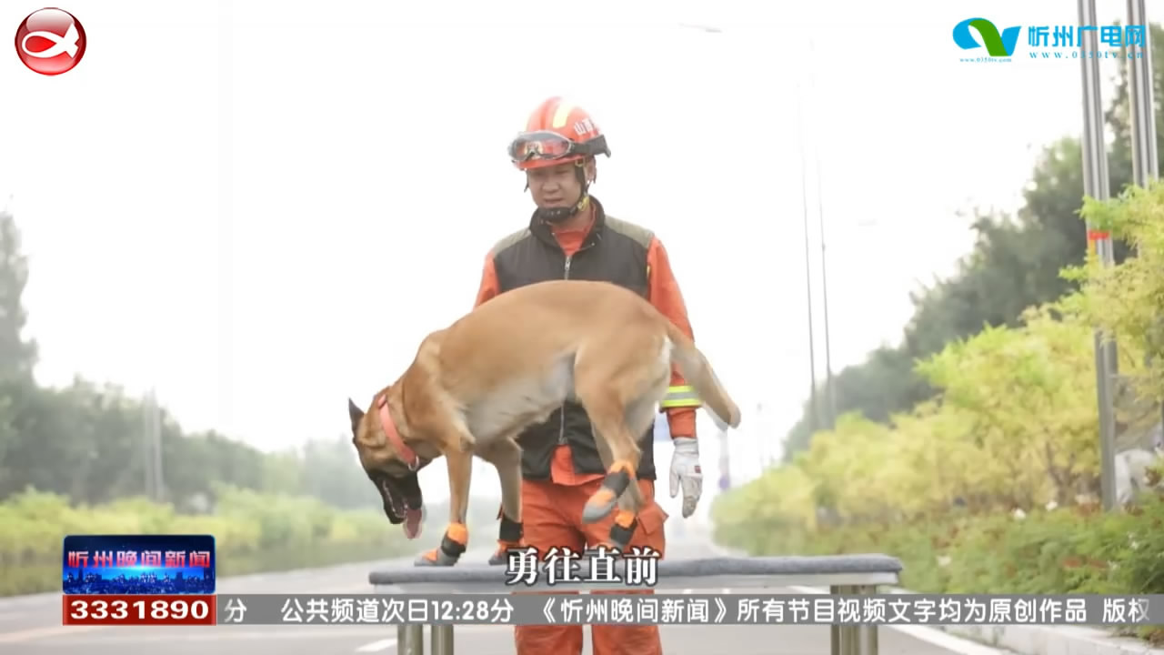 《消防搜救犬之歌》消防汪的主题曲来啦！