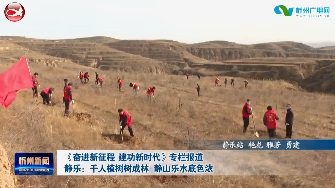 静乐：千人植树树成林 静山乐水底色浓​