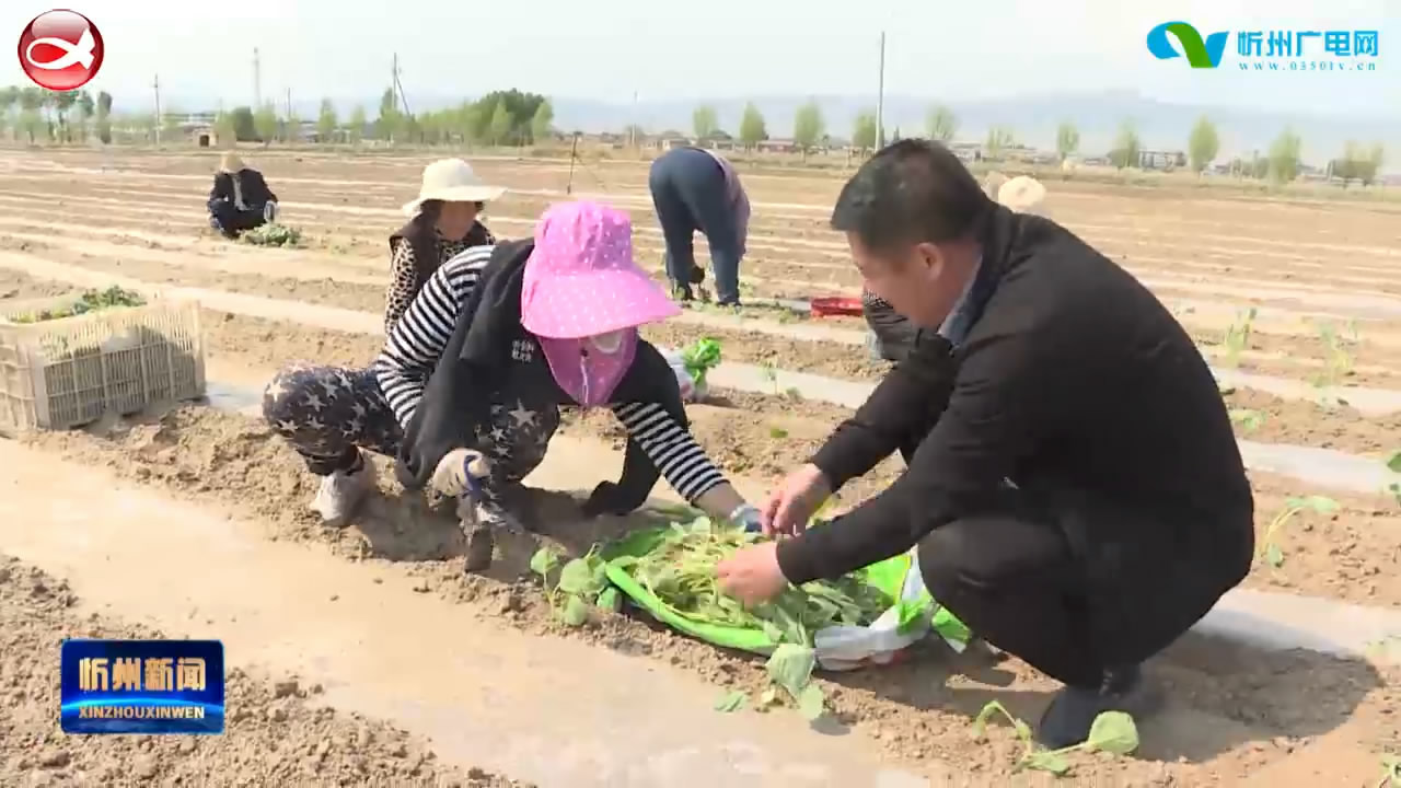 繁峙：办实事解难题  闻声而动全程帮办​