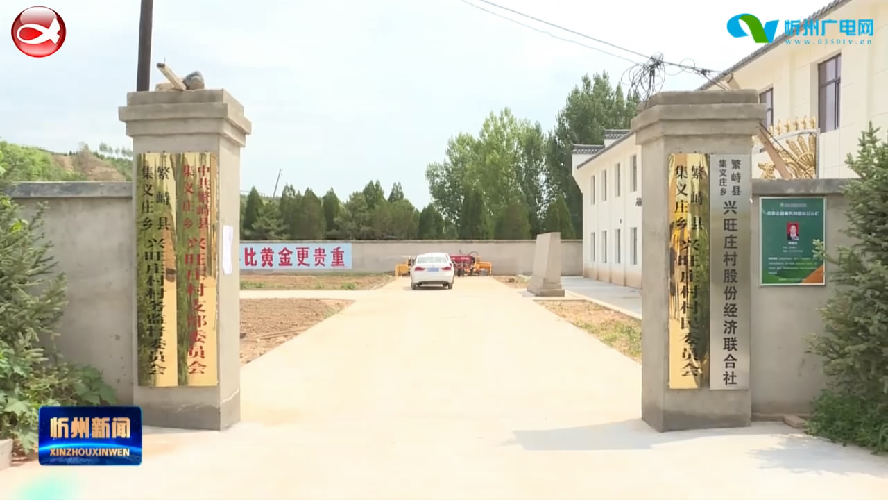 繁峙：抓党建培育致富产业 强引领发展数字农业​