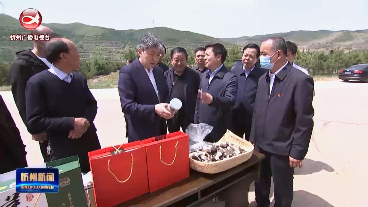 朱晓东在岢岚 五寨调研乡村振兴 农业生产 项目建设等工作​