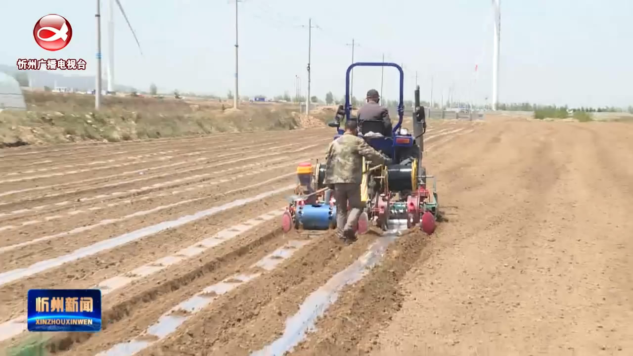 繁峙：播种用上新地膜 耕地降污生态好​