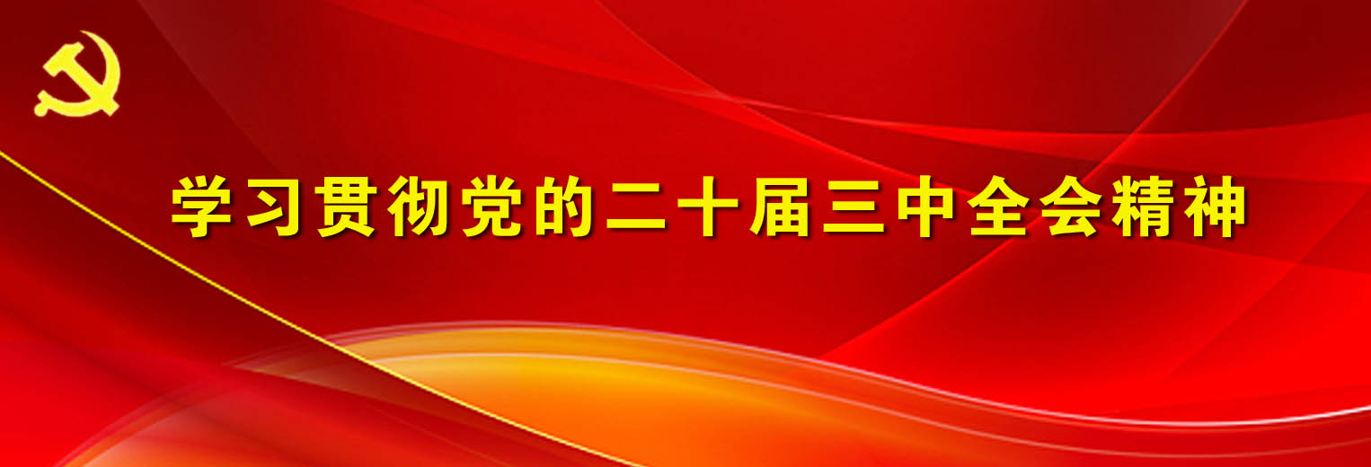 学习贯彻党的二十届三中全会精神