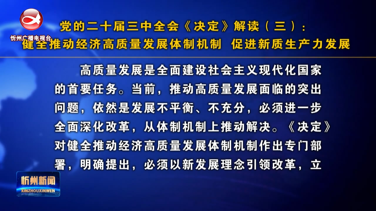 健全推动经济高质量发展体制机制  促进新质生产力发展​