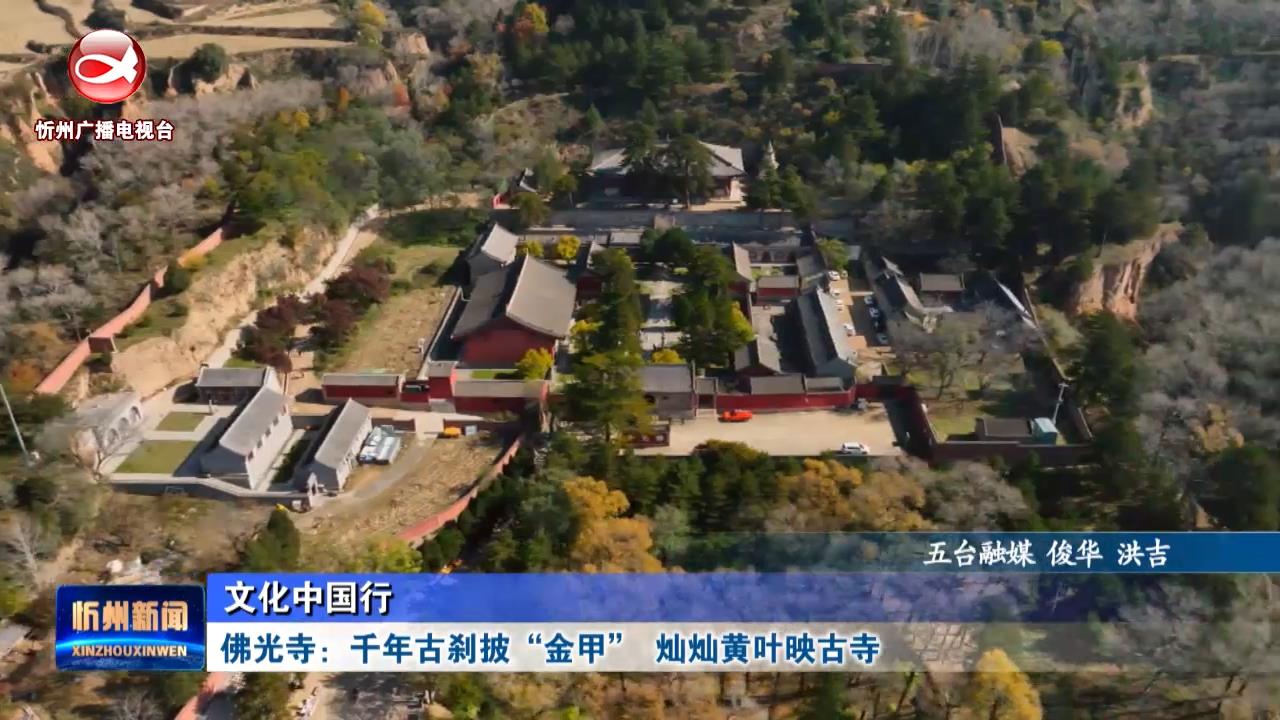 【文化中国行】佛光寺：千年古刹披“金甲” 灿灿黄叶映古寺 ​