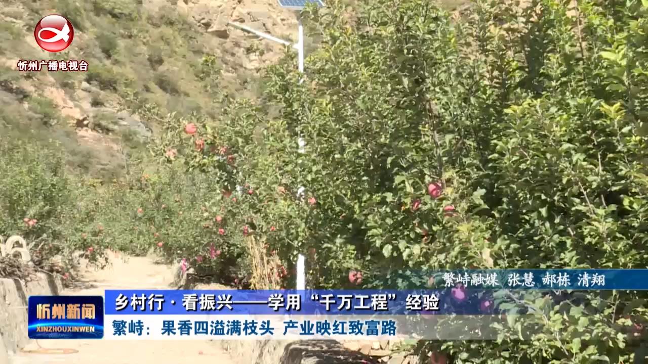 繁峙：果香四溢满枝头  产业映红致富路​