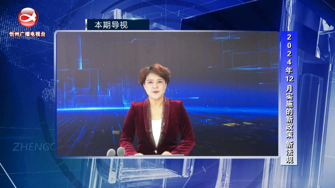 政策视点(20241214)