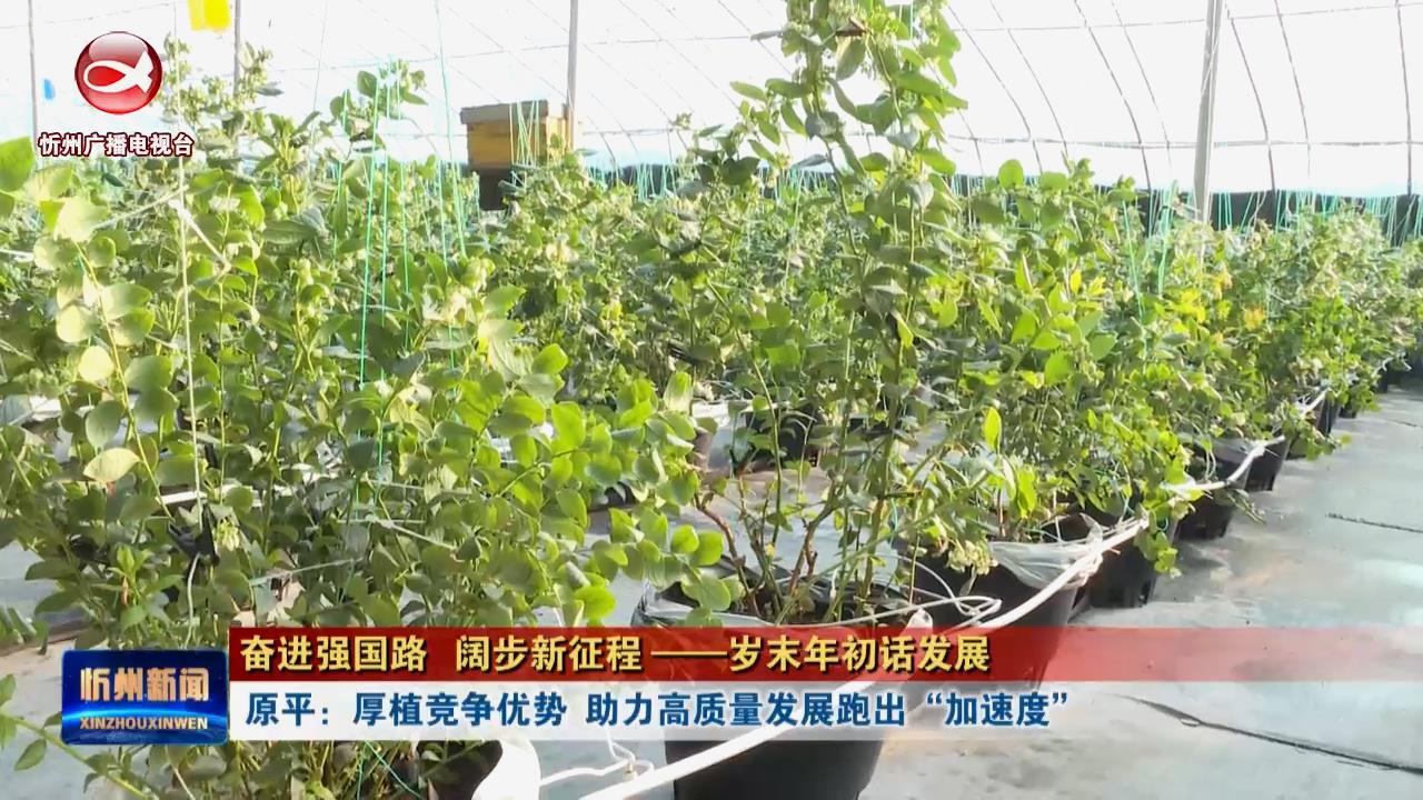 原平：厚植竞争优势  助力高质量发展跑出“加速度”​