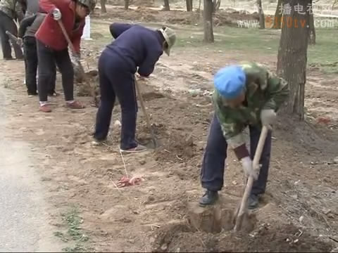 宁武：乡村清洁运动 扮靓美丽乡村