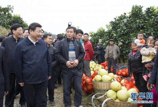 跟着总书记看中国丨“花果山”上“酿出”甜蜜新生活