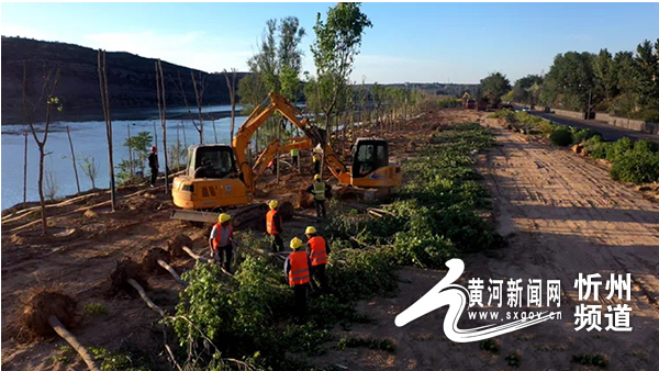 河曲：加快绿化美化生态建设 提升道路交通环境